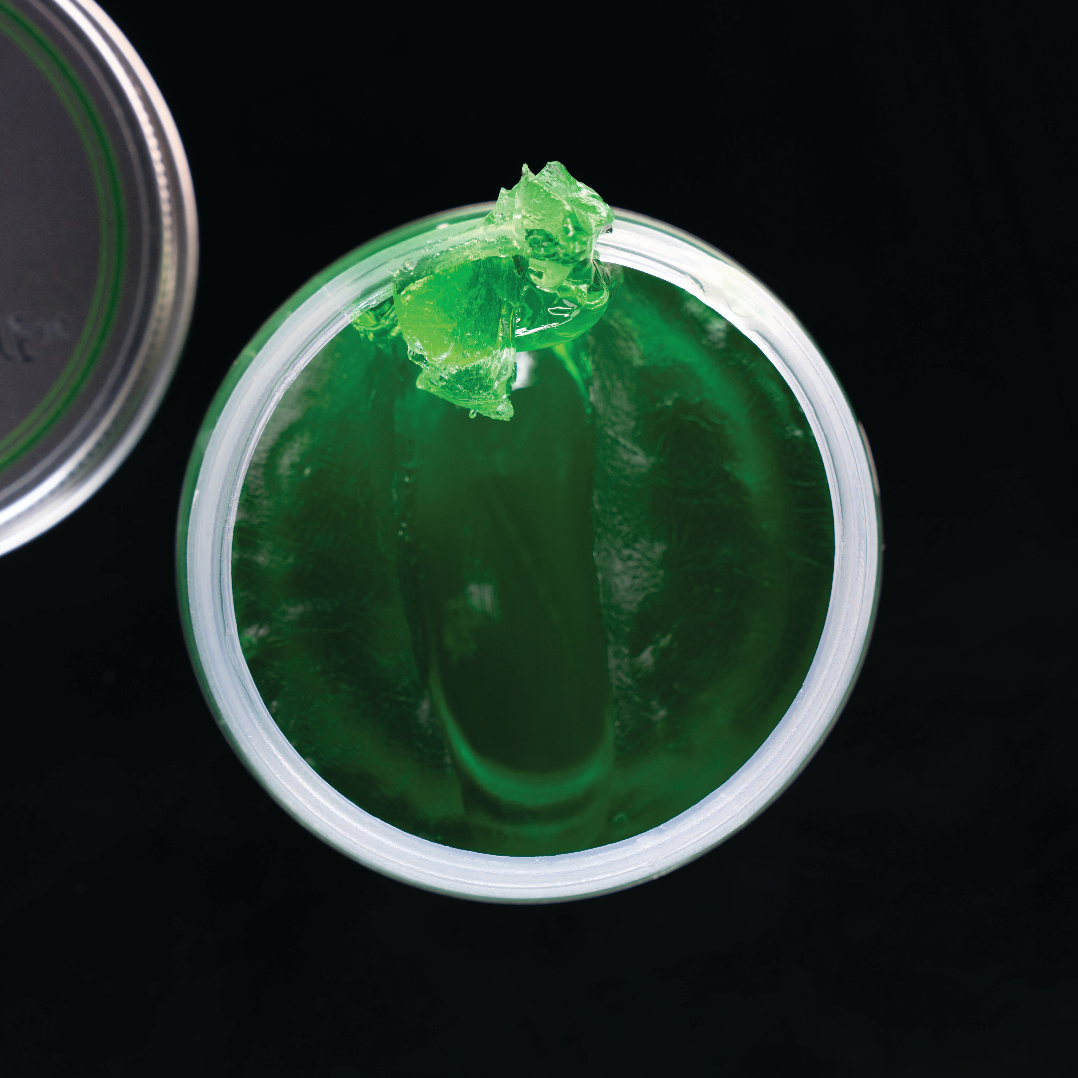 Medusa's Gaze Gel Pomade | Barbaric Style