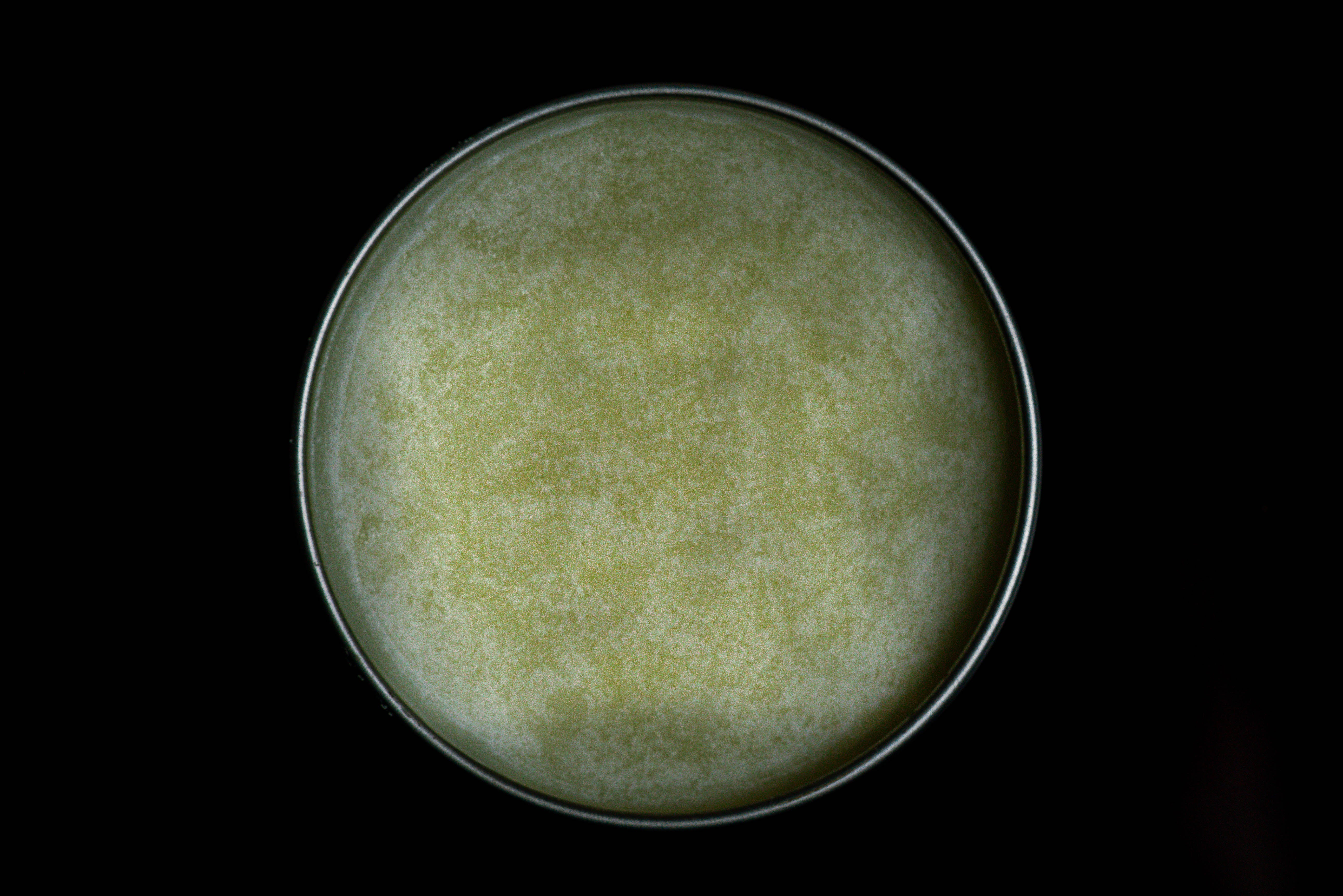 Beard Balm Butter | Barbaric Style